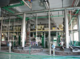 Фабрички шоу (3)